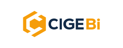 Módulo Business Intelligence — CigePerú ERP